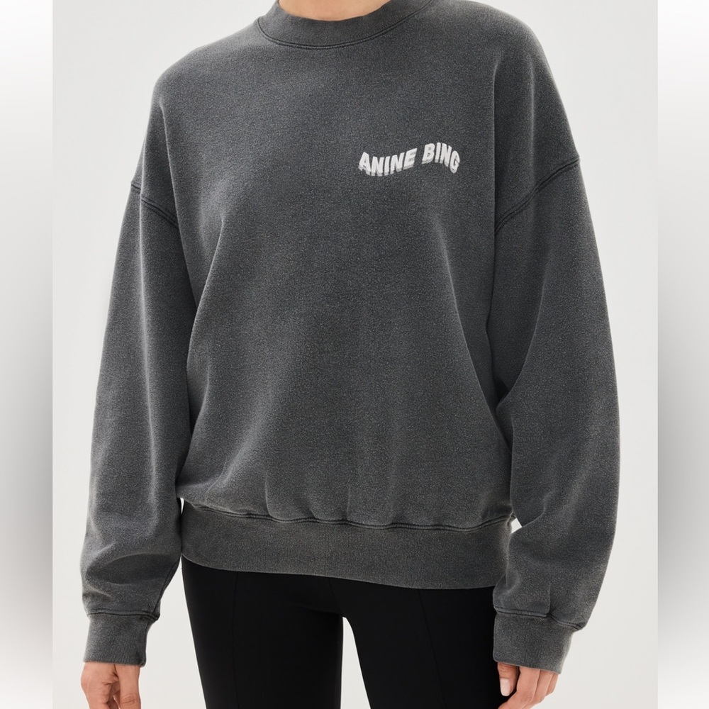 Anine Bing daydreams sweatshirt